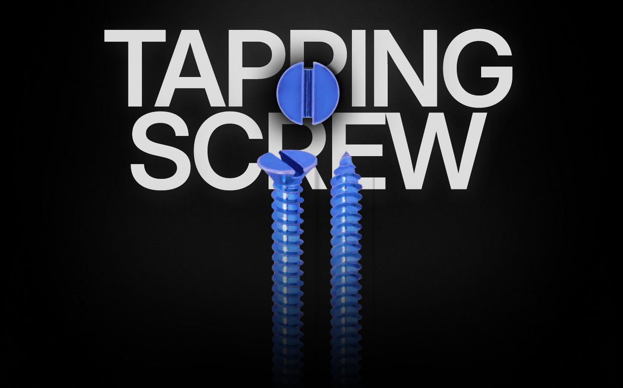 MS CSK Slotted Self Tapping Screw