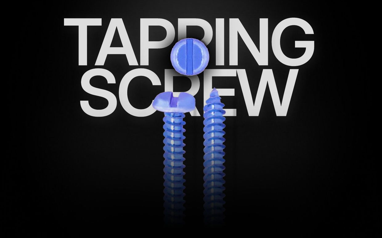 MS PAN / Raised Slotted Self Tapping Screw