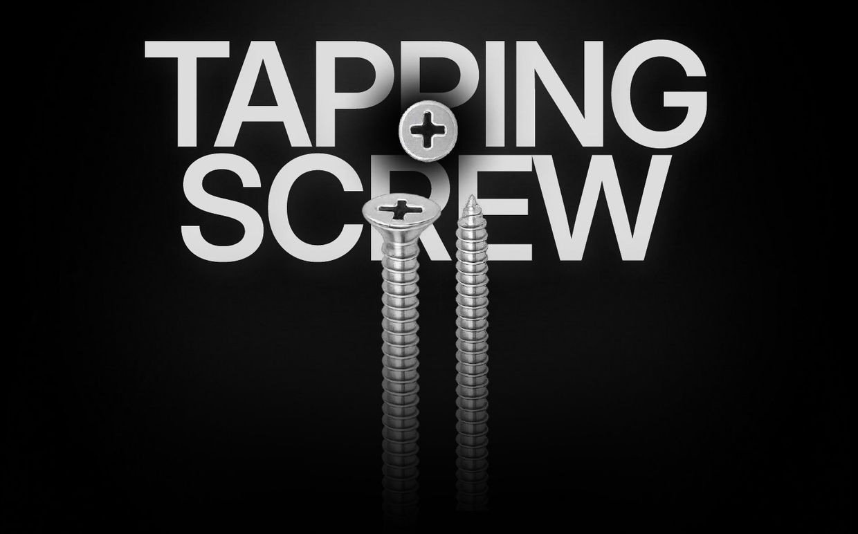 SS CSK Phillips Self Tapping Screw