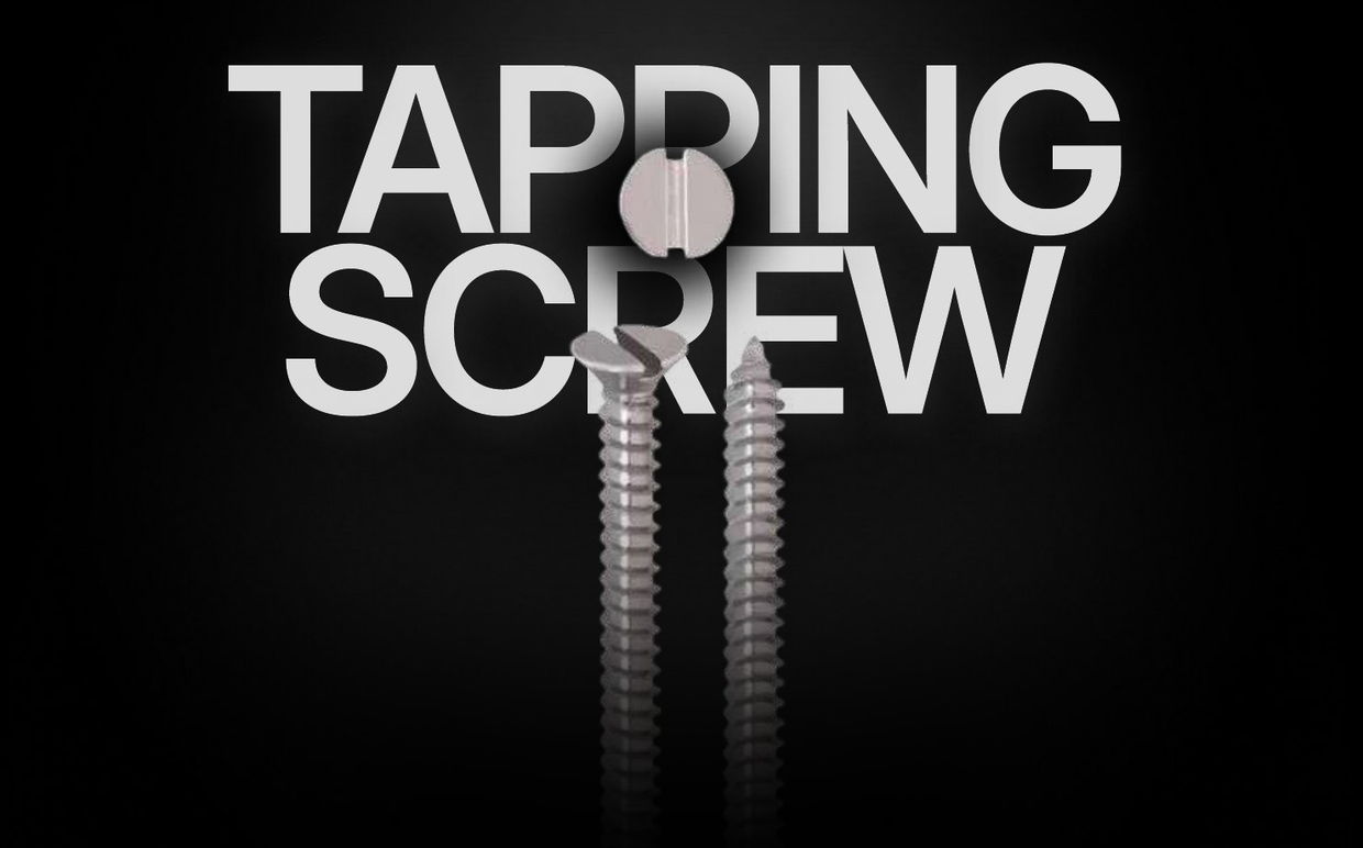 SS CSK Slotted Self Tapping Screw