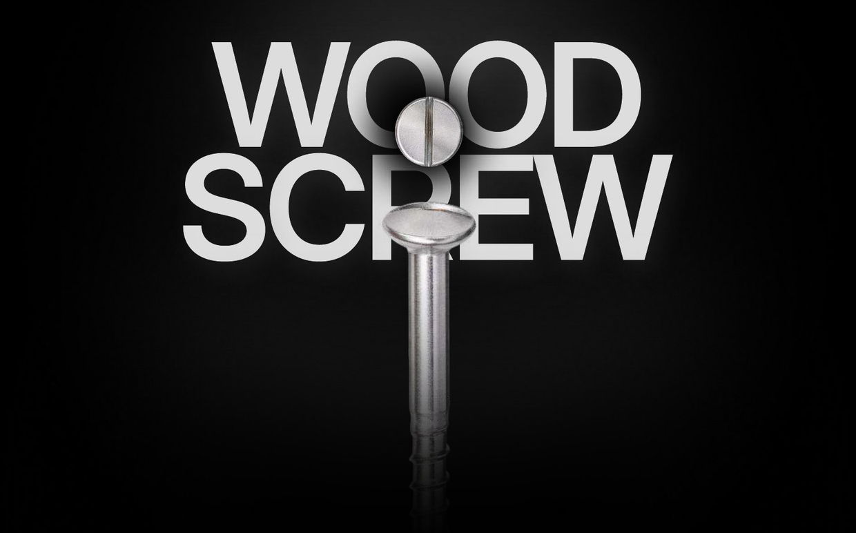 SS CSK Slotted Wood Screw