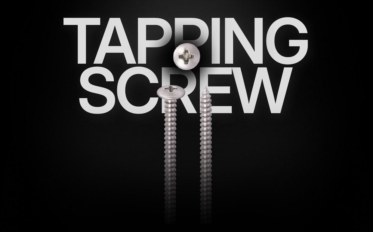 SS PAN Phillips Self Tapping Screw