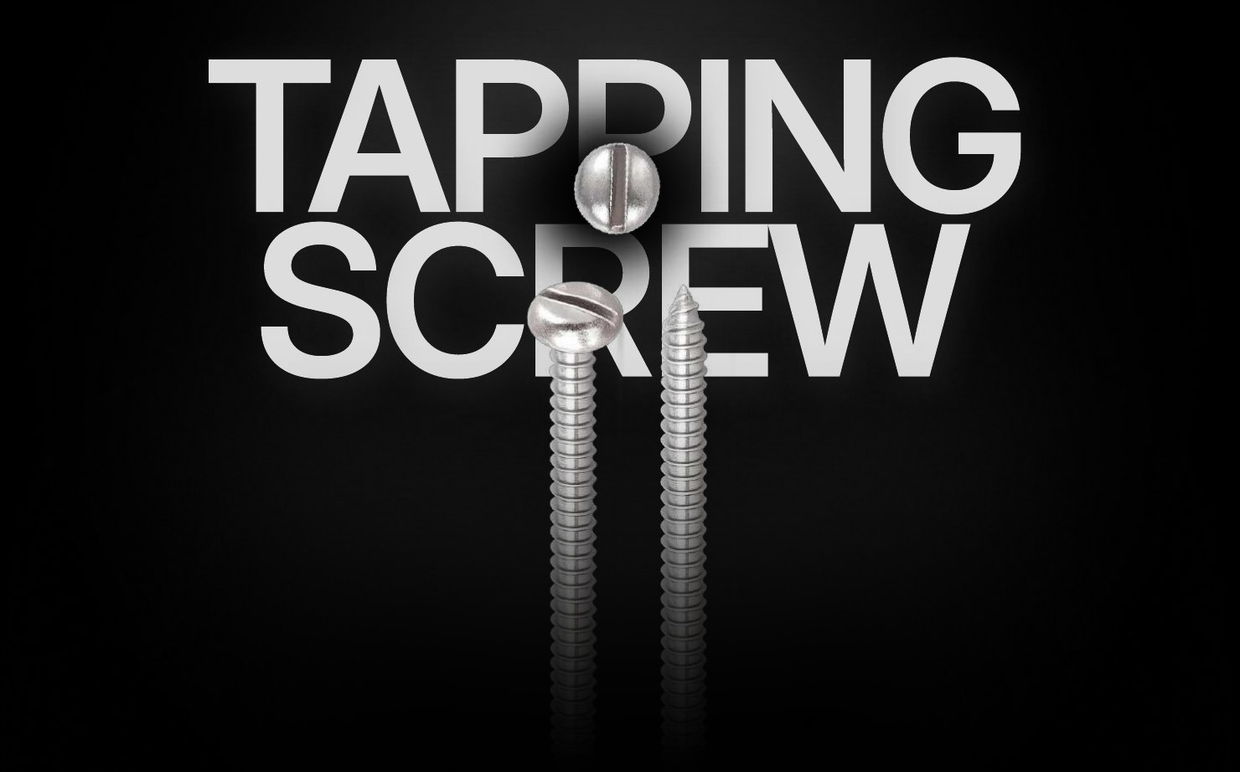 SS PAN Slotted Self Tapping Screw